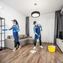 Apartment Clean Up